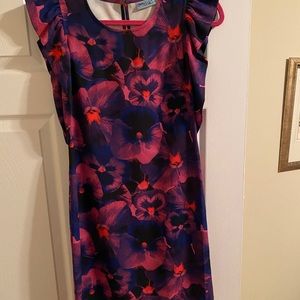 Amazing Cynthia Rowley dress